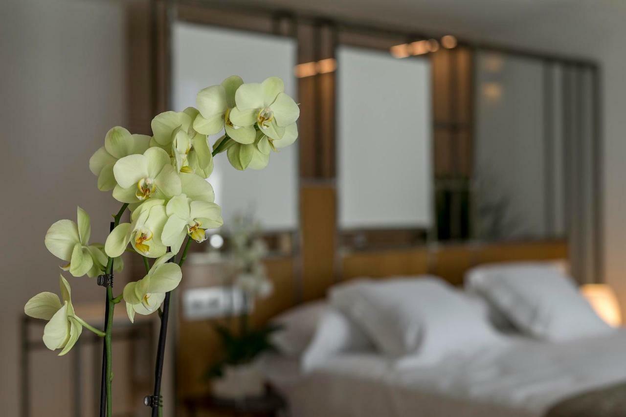 Vinatea Suites Morella Zewnętrze zdjęcie